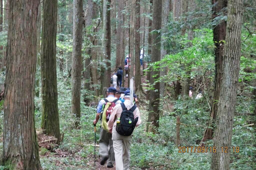 埼玉県 加治丘陵ウォーク