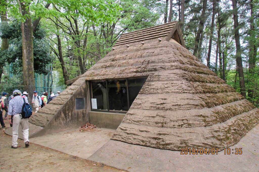 杉並区 和田堀公園北側 古墳時代後期の松ノ木遺跡復元住居 見学