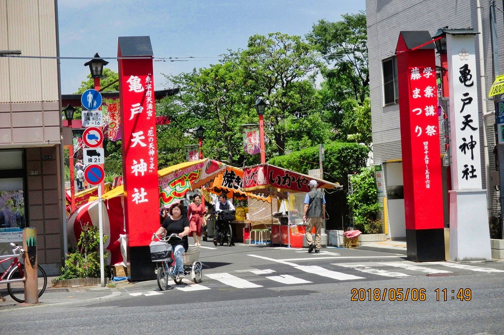 藤の亀戸天神社①