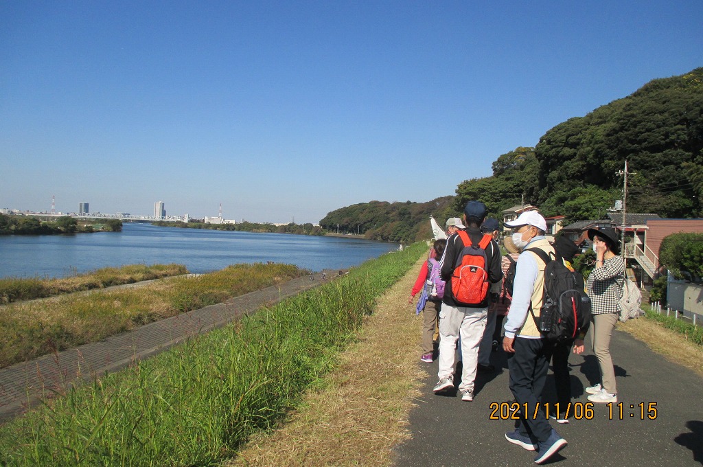 2021年11月6日 第159回定例 ウォーク 快晴の下総路(江戸川堤防)