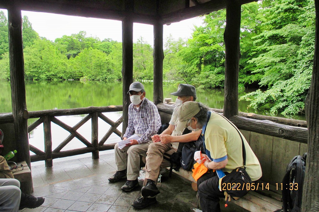 2022年5月14日 第165回定例ウォーク 石神井公園 三宝寺池 厳島神社に隣接の展望台で昼食休憩