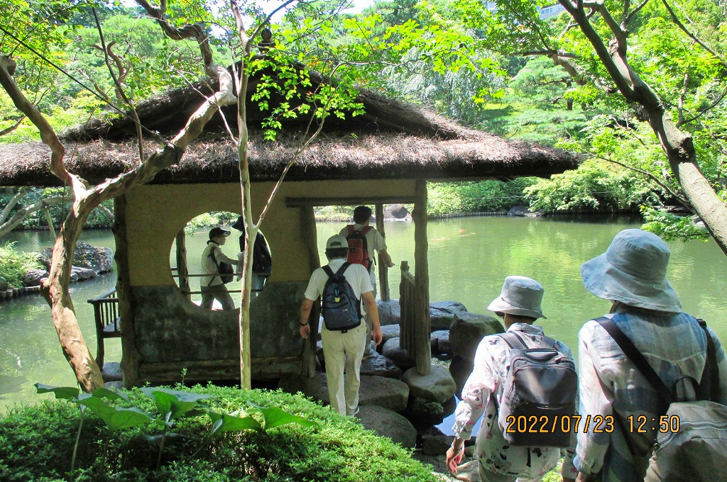 2022年7月23日 第167回定例ウォーク シロガネーゼの庭園 八芳園庭園の水亭