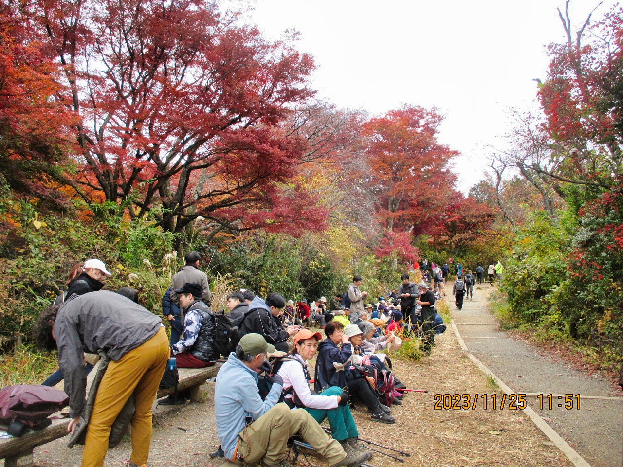 2023年11月25日 第5回シリーズウォーク 高尾山ハイキング 混雑する『もみじ台』で昼食休憩