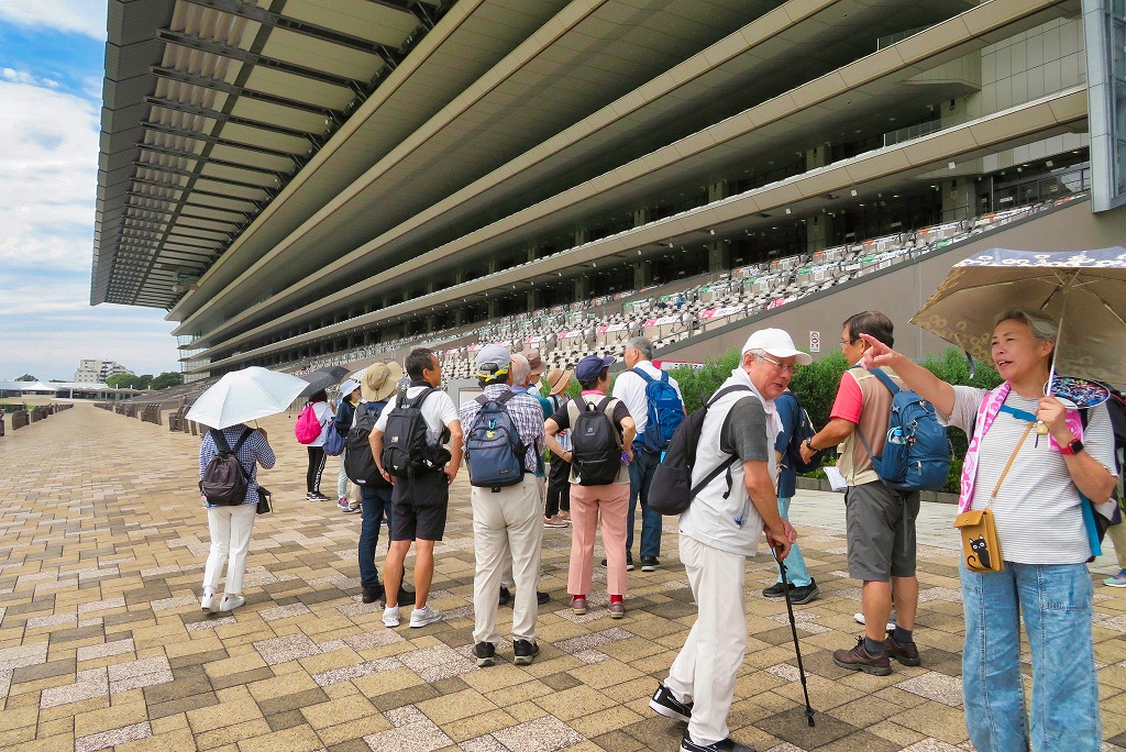 2024年9月21日 第62回カルチャーウォーク 府中市散策 メモリアルスタンド前の東京競馬場2