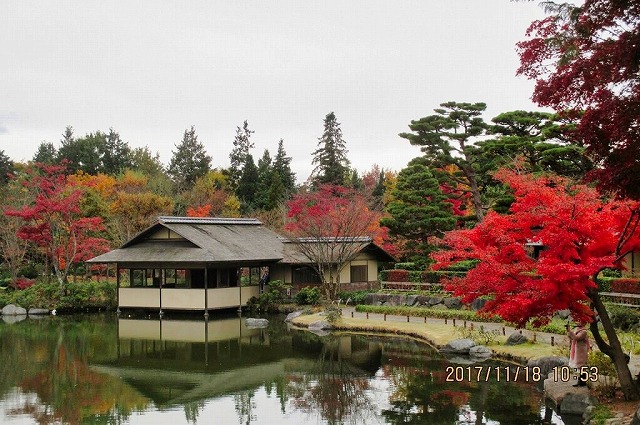 昭和記念公園 日本庭園の紅葉