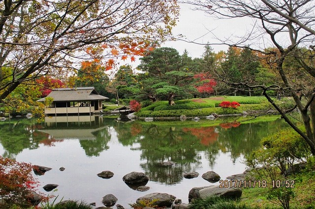 昭和記念公園 日本庭園の紅葉2