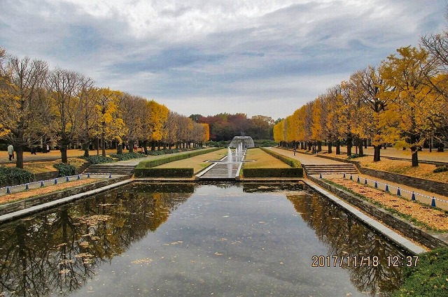 昭和記念公園 立川口からの紅葉