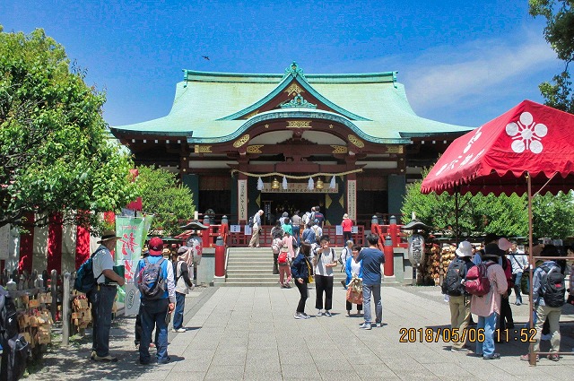 藤の亀戸天神社②