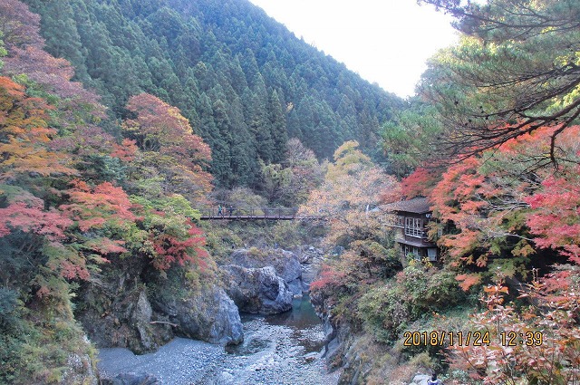 鳩ノ巣渓谷　鳩ノ巣小橋