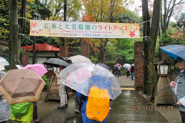 2019年11月23日　第139回定例ウォーク　雨の六義園のモミジ鑑賞