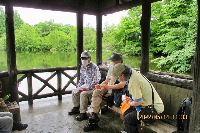 2022年5月14日 第165回定例ウォーク 石神井公園 三宝寺池 厳島神社に隣接の展望台で昼食休憩