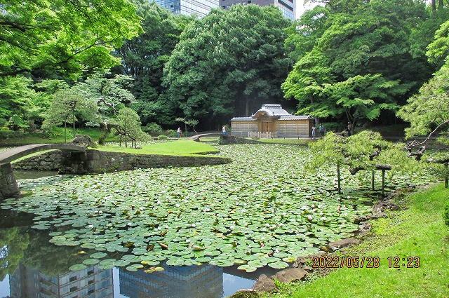 2022年5月28日 第51回カルチャーウォーク 小石川後楽園 内庭からの唐門跡