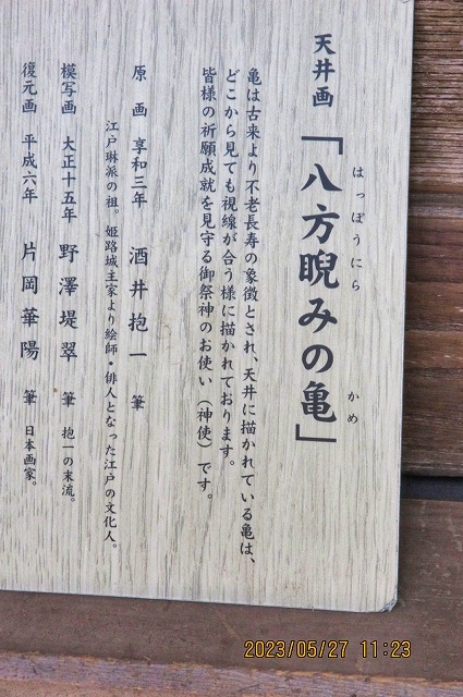 2023年5月27日 第175回定例ウォーク 江の島で有名な奥津の宮 拝殿天井の「八方睨みの亀」2