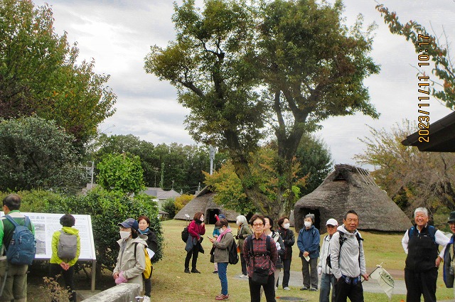 2023年11月11日 第179回定例ウォーク 曇り空の町田市本町田遺跡公園