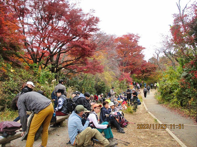 2023年11月25日 第5回シリーズウォーク 高尾山ハイキング 混雑する『もみじ台』で昼食休憩