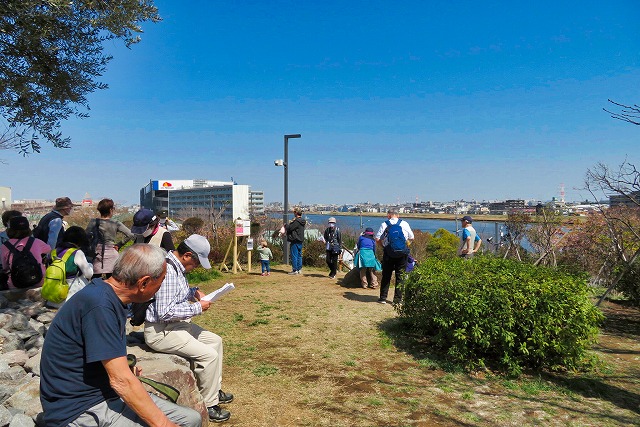 2024年3月16日 第58回カルチャーウォーク 江戸川区左近川散策 なぎさ公園・展望の丘で小休憩（旧江戸川を望む）